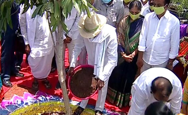 Cm Kcr Launches Th Phase Of Haritha Haram In Telangana Cm Kcr Launches